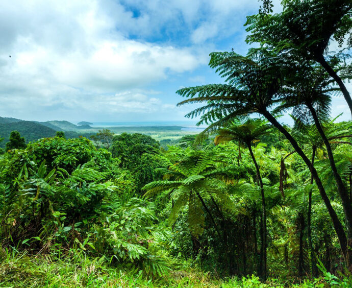 Cassowary Credit Scheme