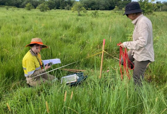 Cassowary Coast Regional Council Cassowary Credits Project