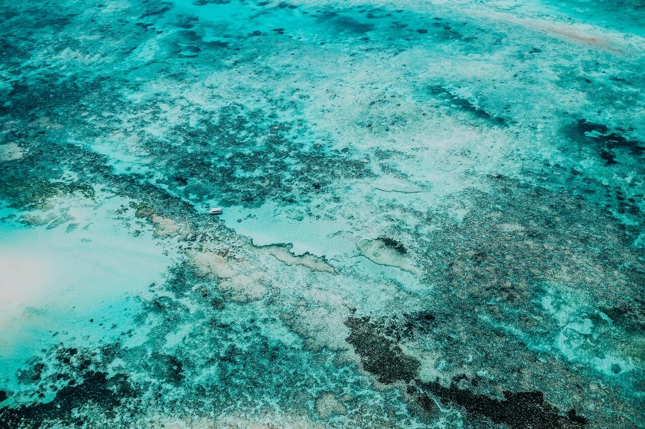 Eco-Markets Australia Welcomes New CEO Goslik Schepers as Maree Adshead Concludes Transformational Tenure