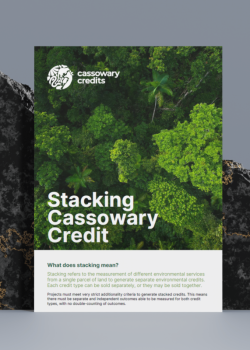 Cassowary-Credits-Stacking-Guide