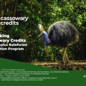 Cassowary Credits Webinar