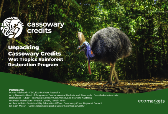 Cassowary Credits Webinar